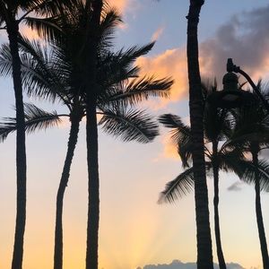 Hi babes ♡ let’s shop!